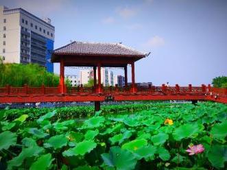 望仙桥