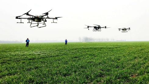 飞手操控无人机喷施叶面肥